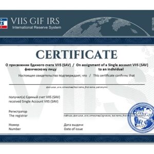 Единый счет VIIS(Single Account VIIS)